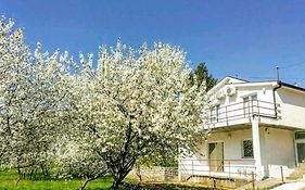 Apartments Pasha